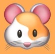WWW,qqq26·COM网站APPAPP应用