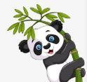 91免会员版APPAPP应用